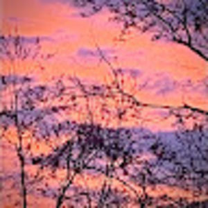 Meet your Posher, Rosanna